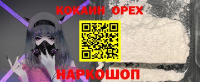 шишки Будённовск