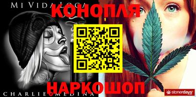 шишки Будённовск