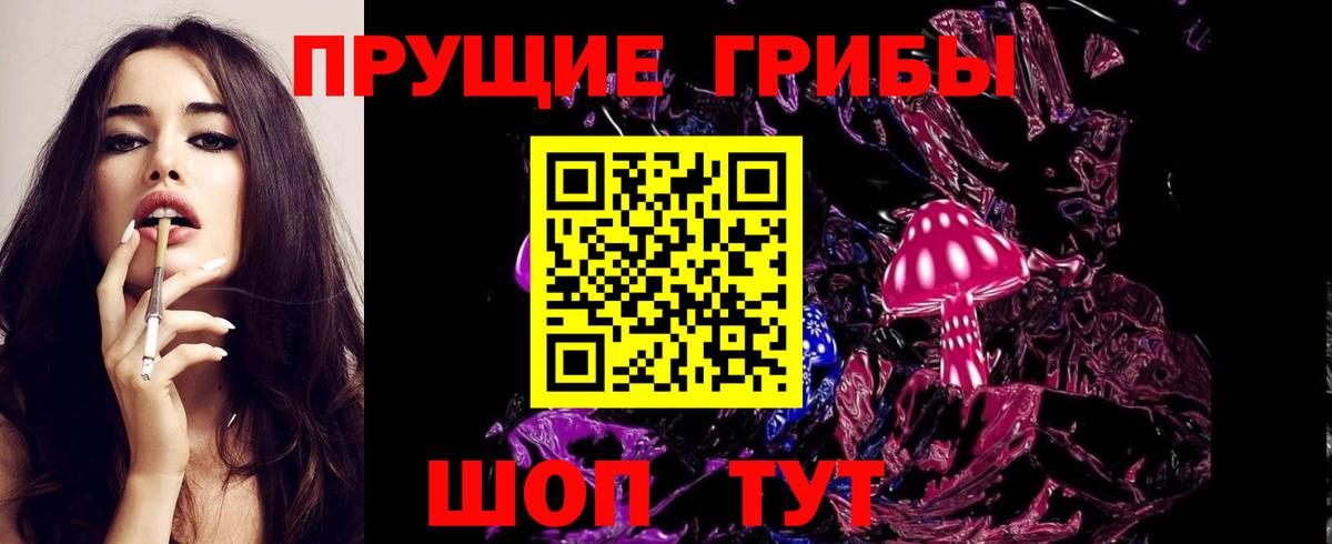 Псилоцибиновые грибы Cubensis Киреевск